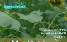 windows 8.1中文版secureBoot 未正确配置