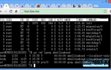 Shellinabox：基于 Web 的远程 Terminal 模拟器安装使用详解