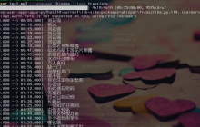 ASR音视频字幕生成：基于 openai-whisper 提取音视频文件文本