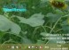 windows 8.1中文版secureBoot 未正确配置