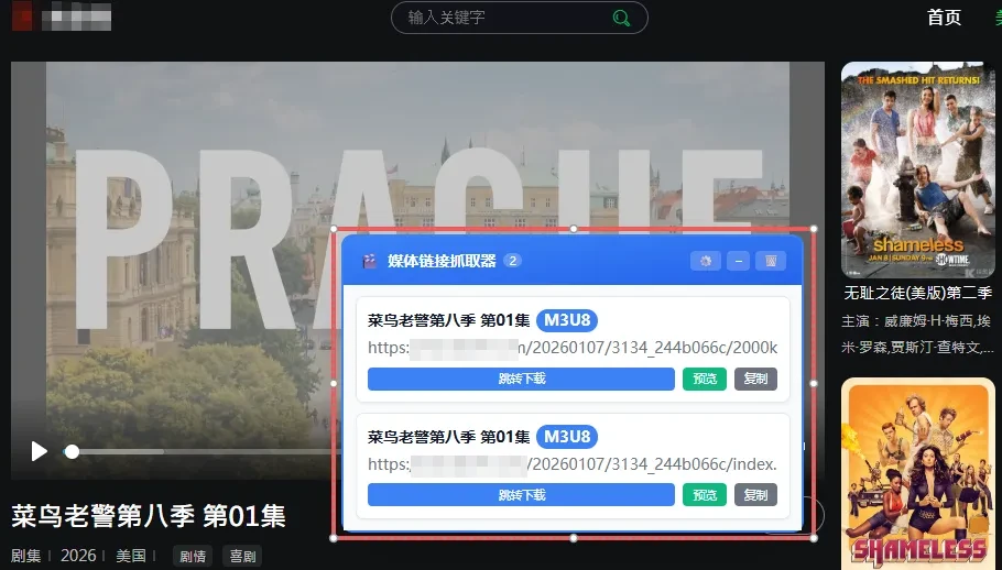 浏览器油猴脚本面板示例